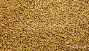 Akadama con granulometria medio piccola
