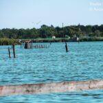 Lago costiero o salino